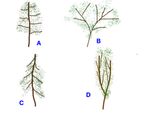 Using Trees as Antenna Supports – Practical Antennas